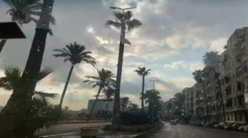 تحذير أرصادي.. ضباب كثيف وصقيع يهدد المزروعات في اليوم